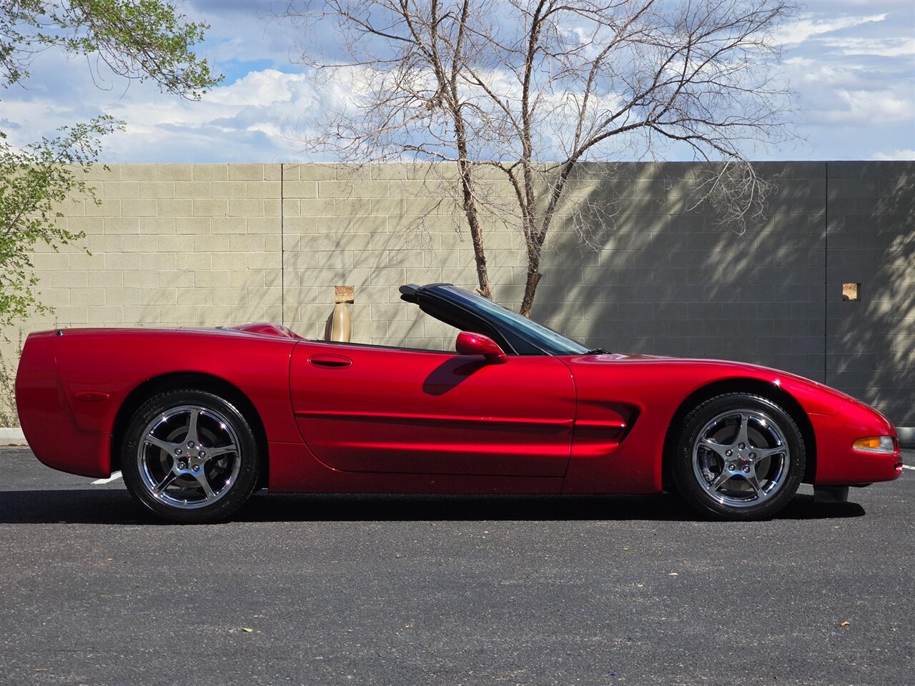 2004 Chevrolet Corvette Convertible photo 14