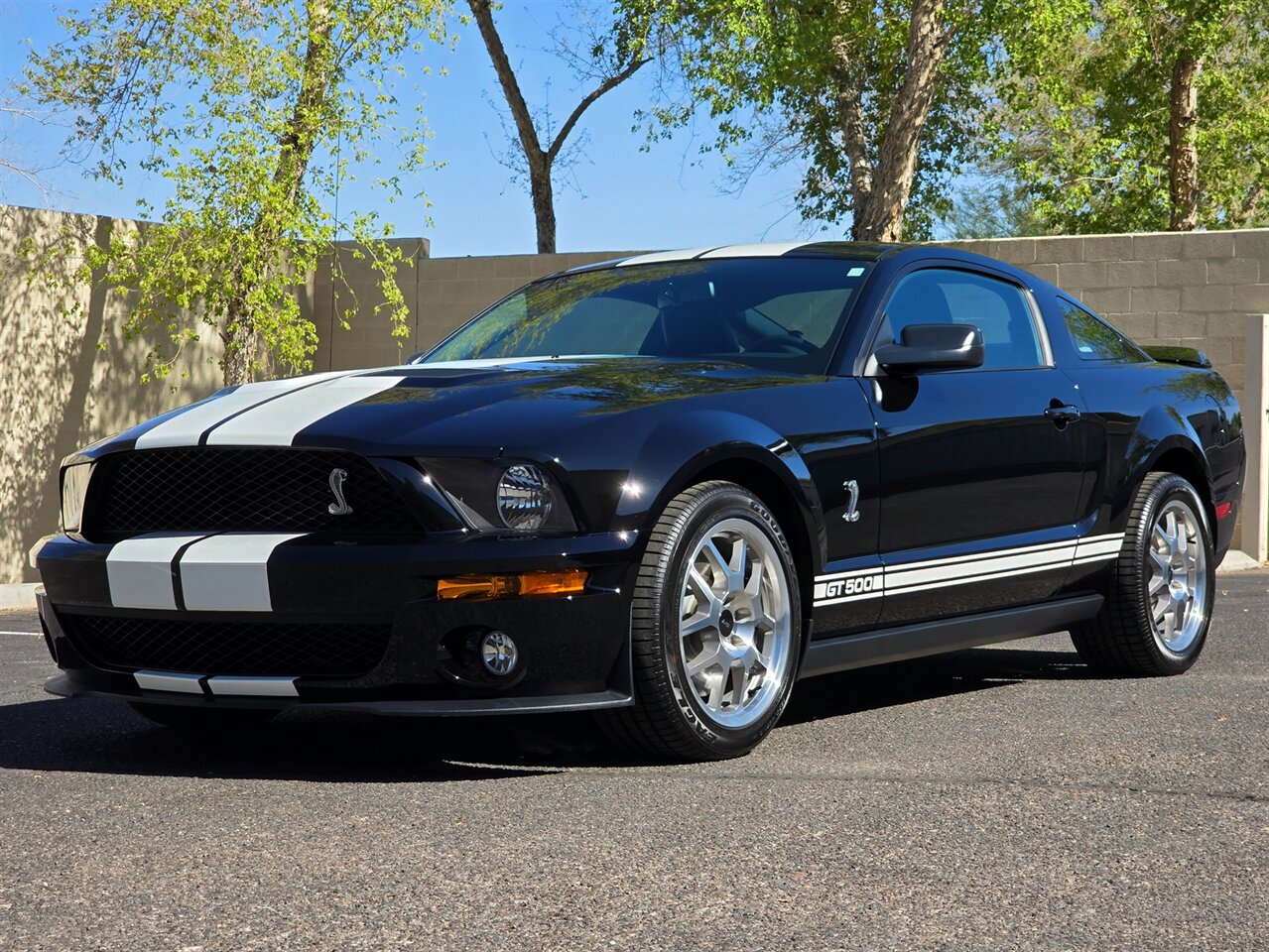 2007 Ford Shelby GT500 - Photo 5 - Mesa, AZ 85215