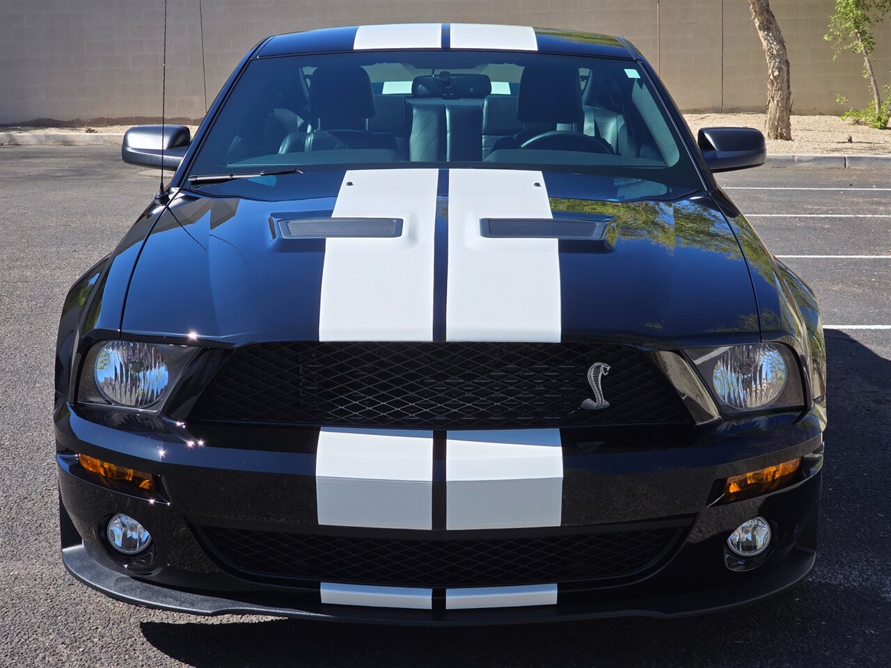 2007 Ford Shelby GT500 - Photo 3 - Mesa, AZ 85215
