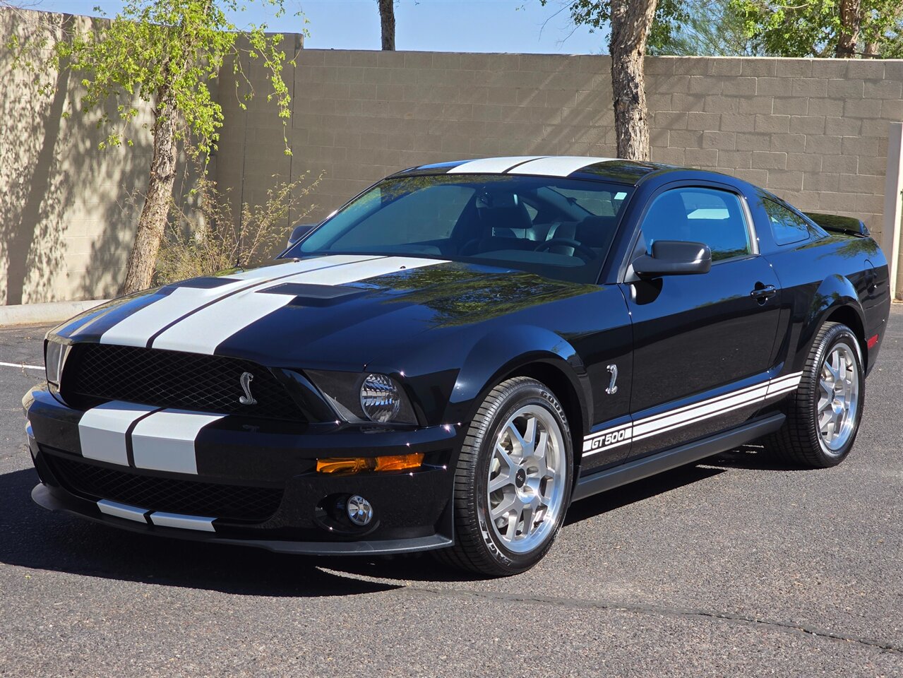 2007 Ford Shelby GT500 - Photo 6 - Mesa, AZ 85215