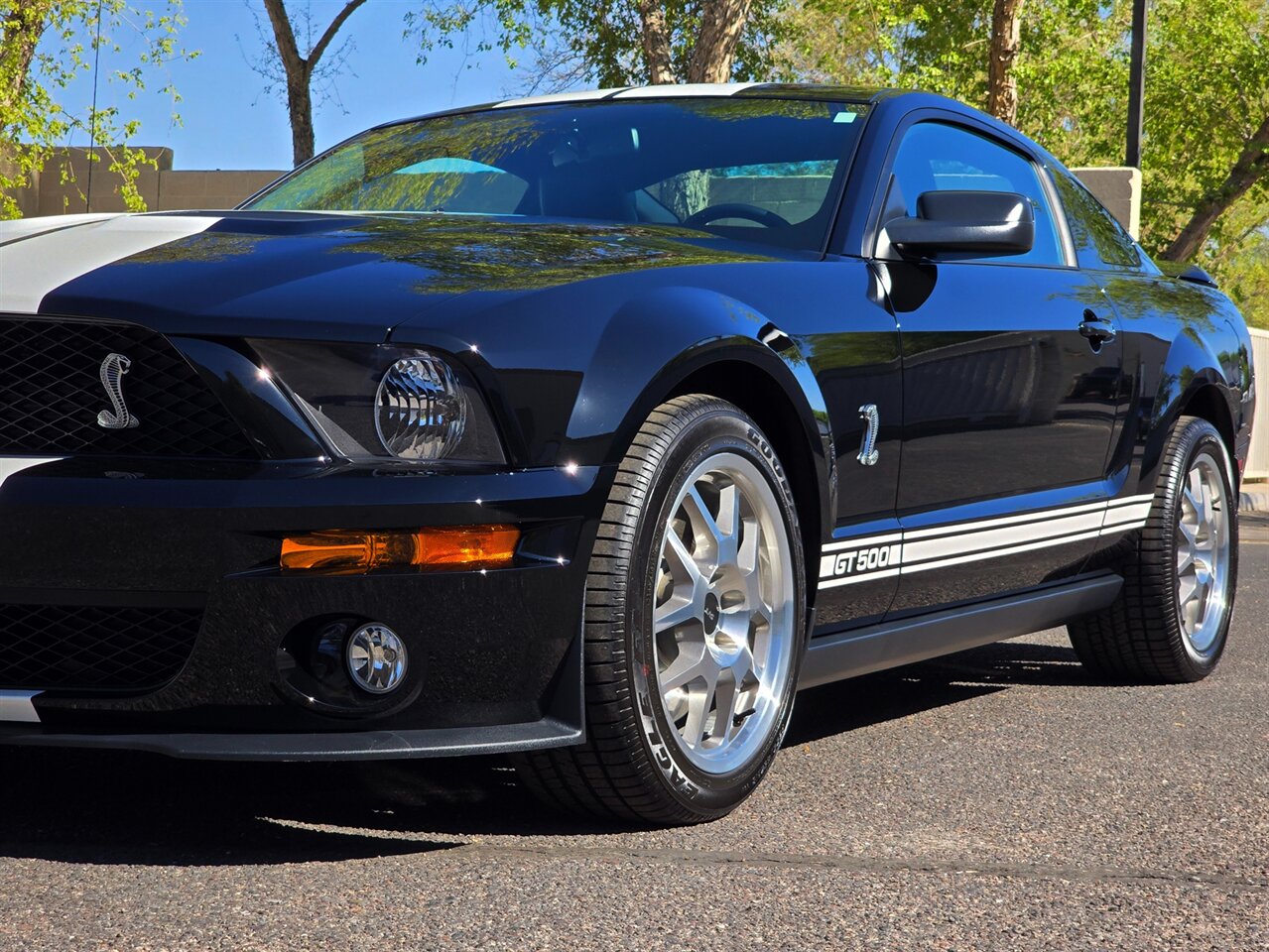 2007 Ford Shelby GT500 - Photo 12 - Mesa, AZ 85215