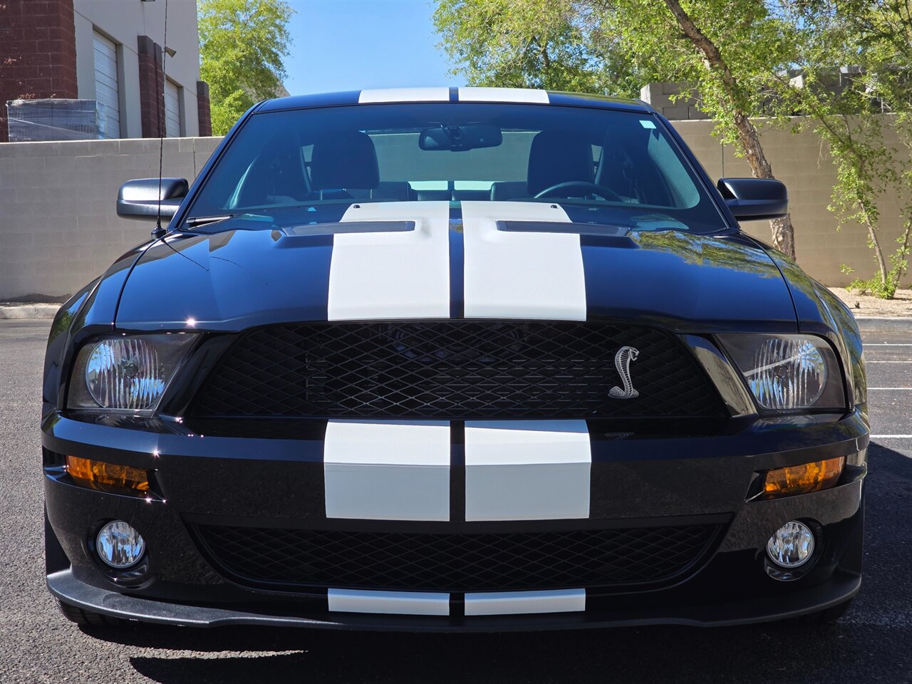 2007 Ford Shelby GT500 - Photo 4 - Mesa, AZ 85215