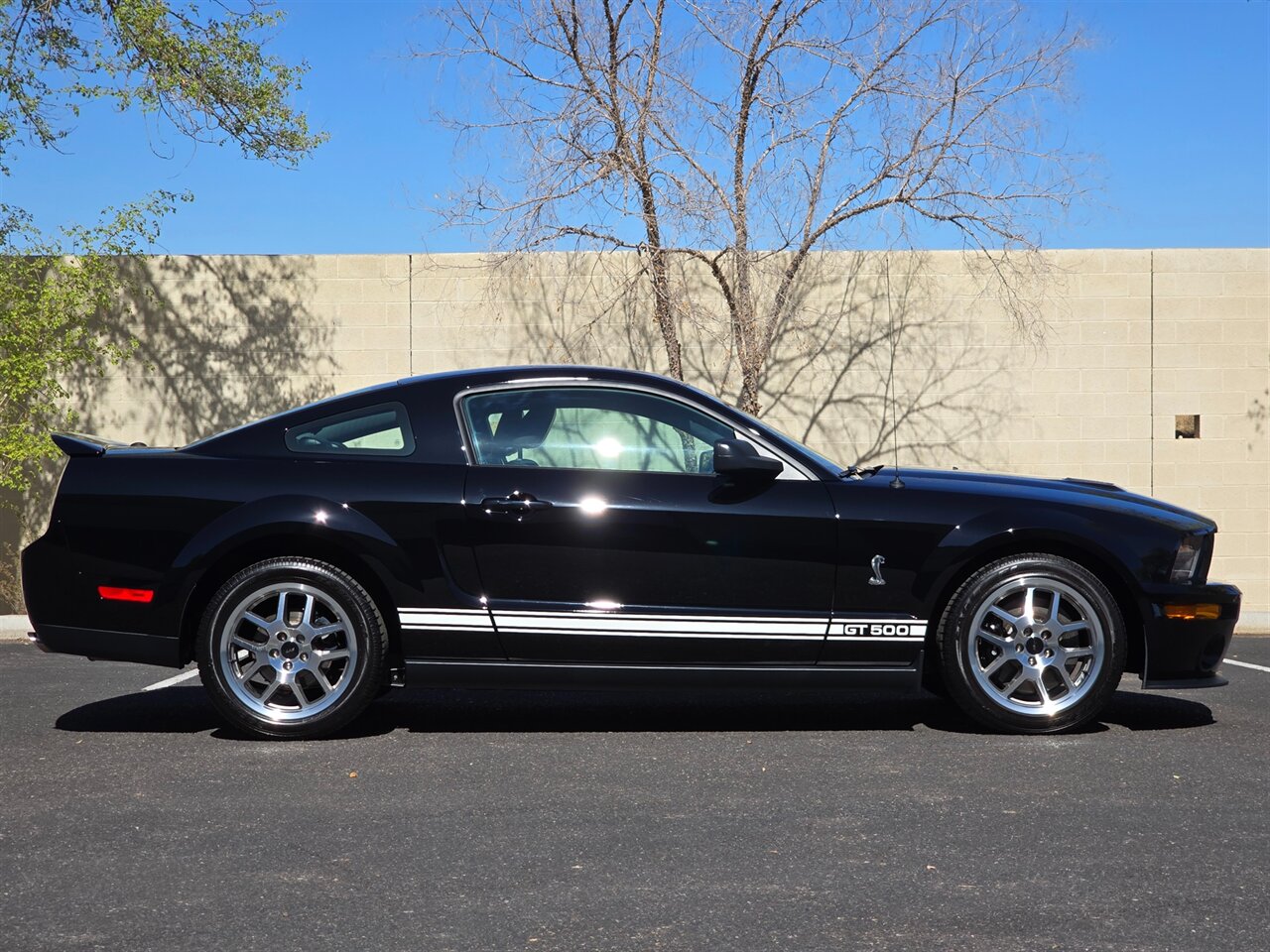2007 Ford Shelby GT500 - Photo 11 - Mesa, AZ 85215