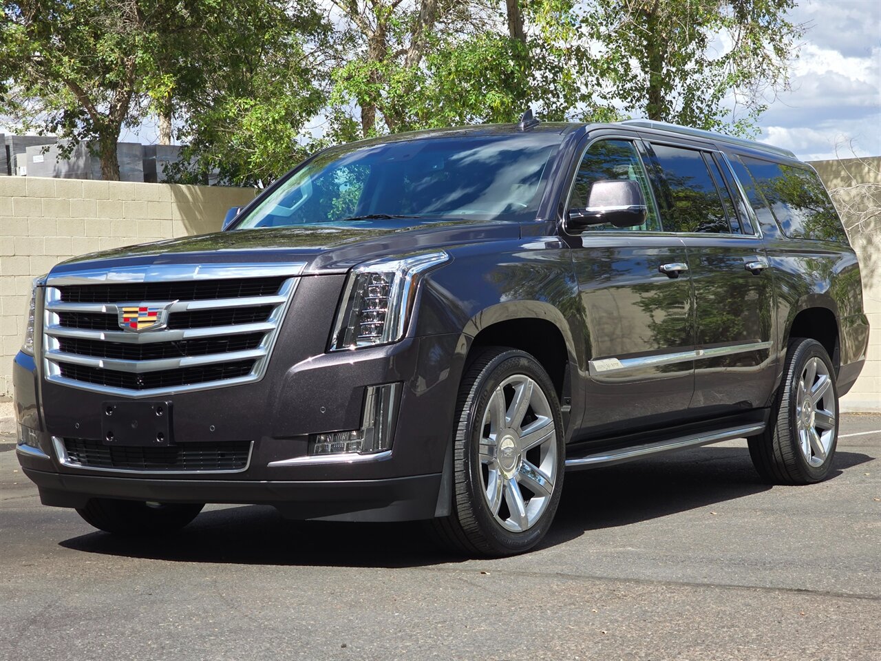 2016 Cadillac Escalade ESV Luxury Collection - Photo 4 - Mesa, AZ 85215