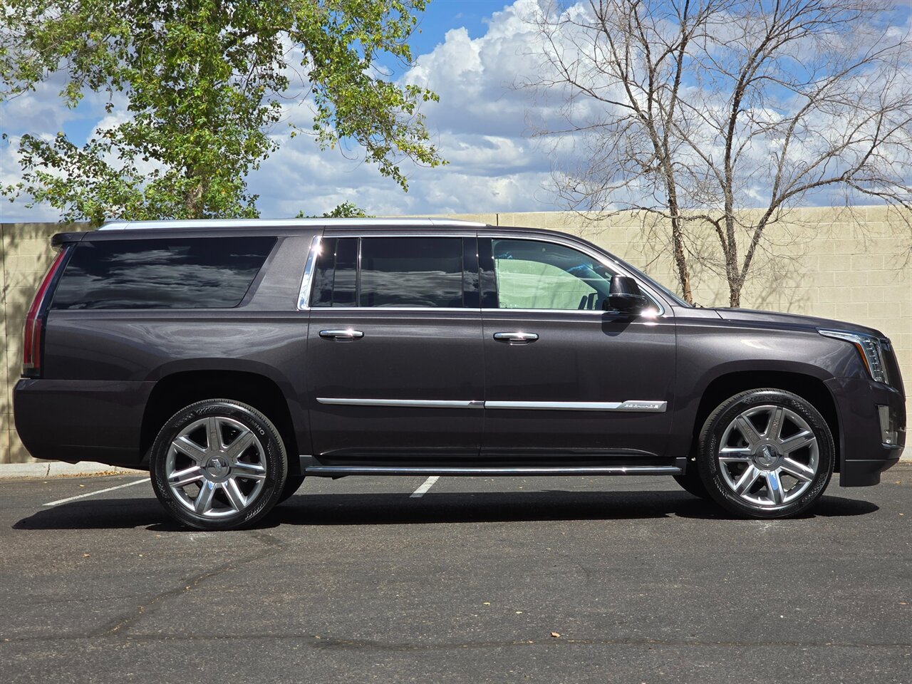 2016 Cadillac Escalade ESV Luxury Collection - Photo 10 - Mesa, AZ 85215