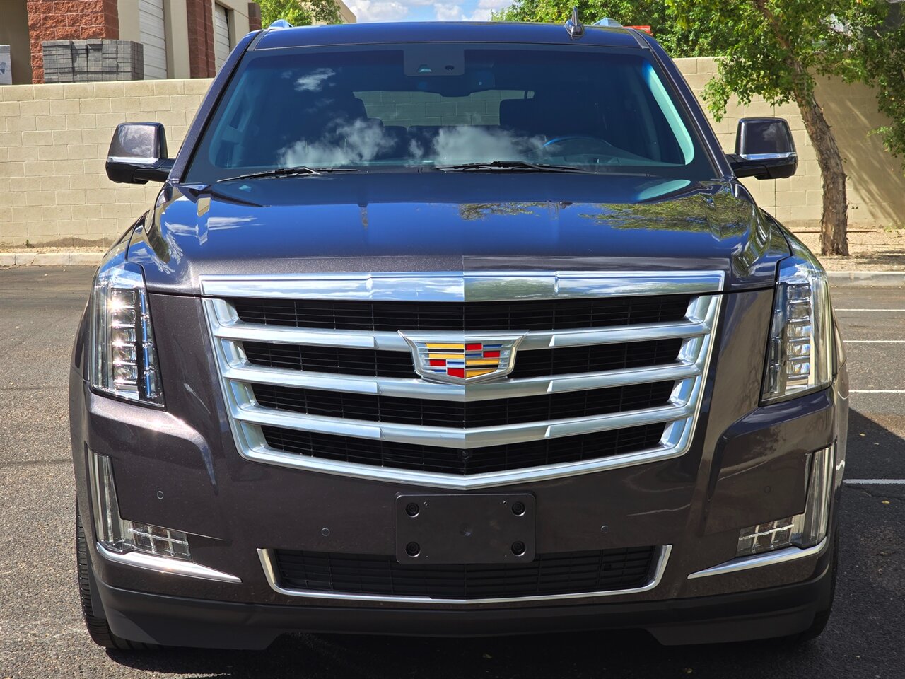 2016 Cadillac Escalade ESV Luxury Collection - Photo 3 - Mesa, AZ 85215