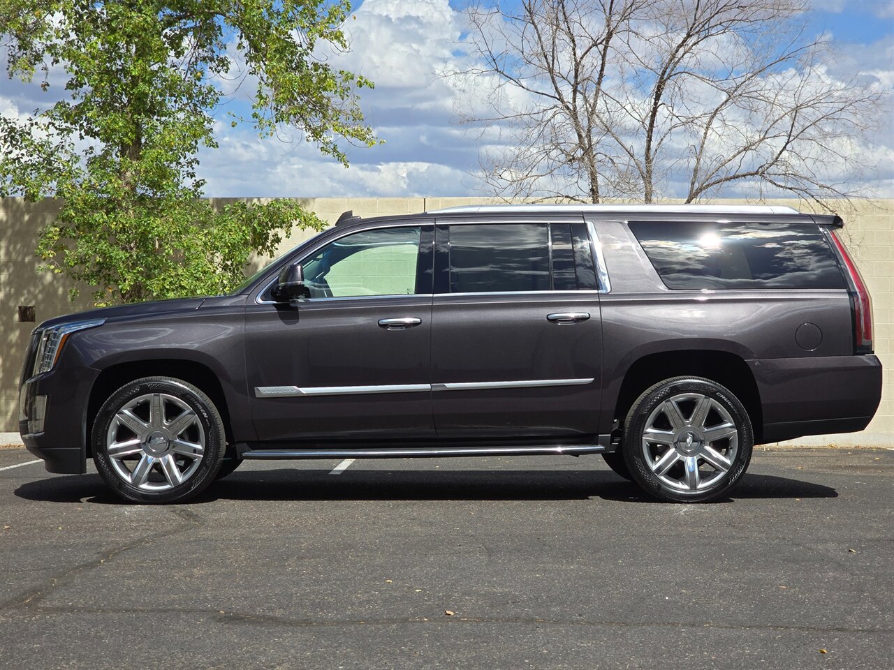 2016 Cadillac Escalade ESV Luxury Collection - Photo 6 - Mesa, AZ 85215