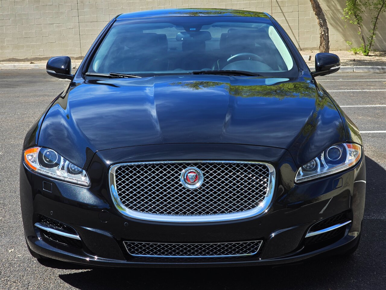 2014 Jaguar XJL Portfolio - Photo 3 - Mesa, AZ 85215