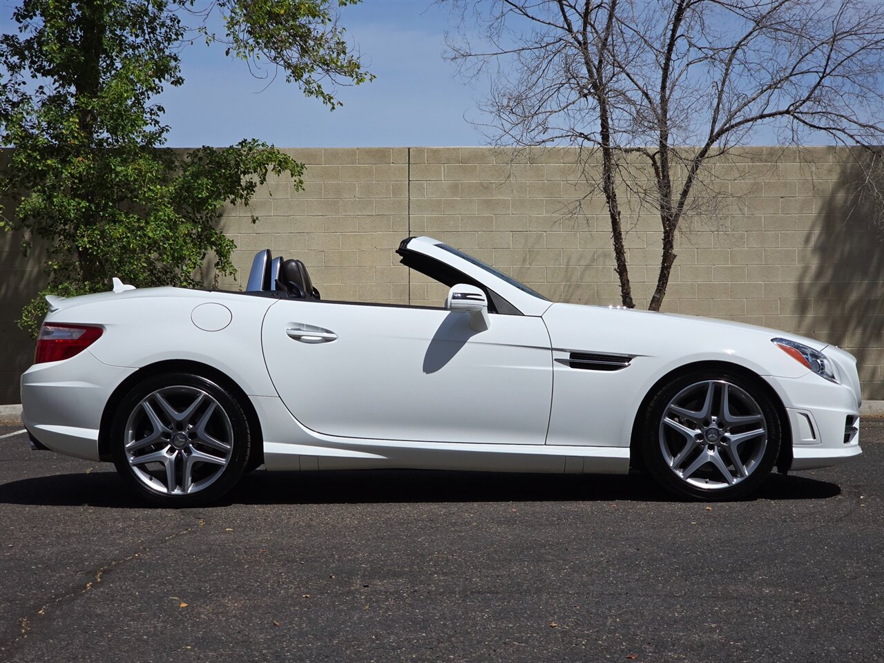 2016 Mercedes-Benz SLK 350 - Photo 12 - Mesa, AZ 85215