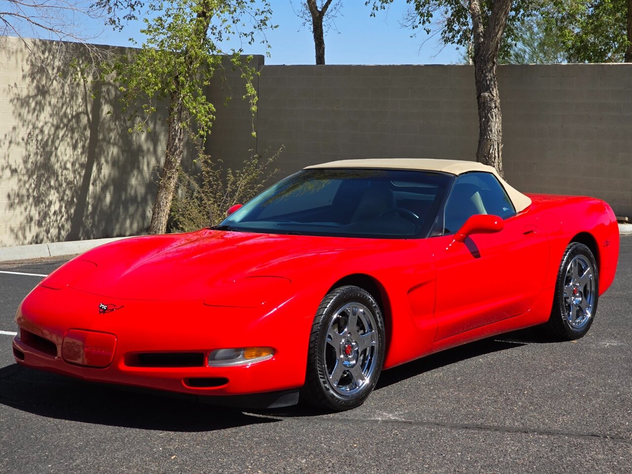 1999 Chevrolet Corvette Convertible - Photo 7 - Mesa, AZ 85215