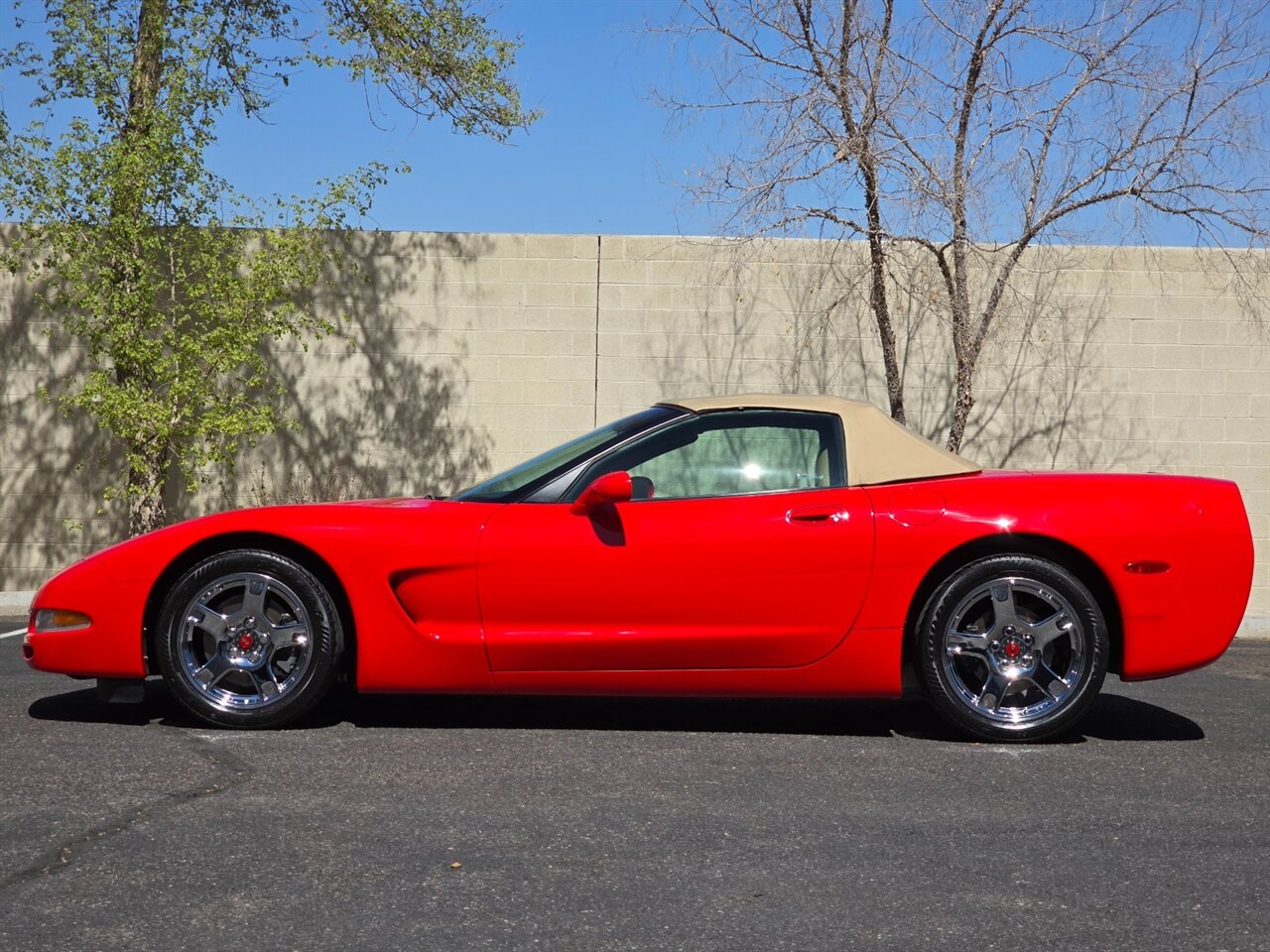 1999 Chevrolet Corvette Convertible - Photo 8 - Mesa, AZ 85215