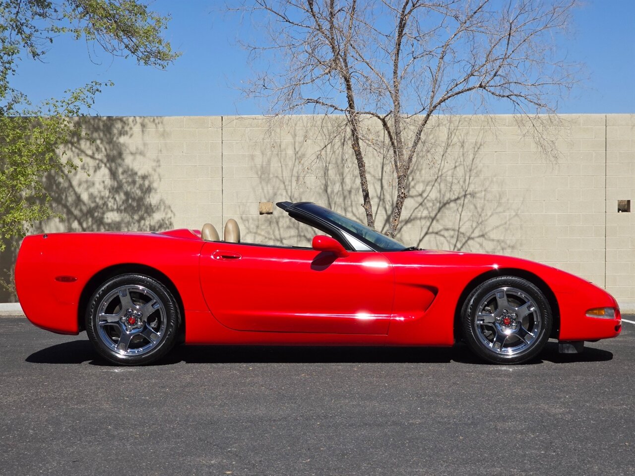 1999 Chevrolet Corvette Convertible - Photo 13 - Mesa, AZ 85215