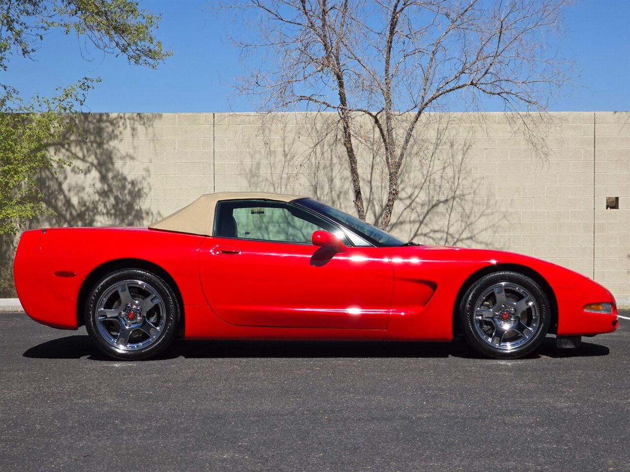 1999 Chevrolet Corvette Convertible - Photo 12 - Mesa, AZ 85215
