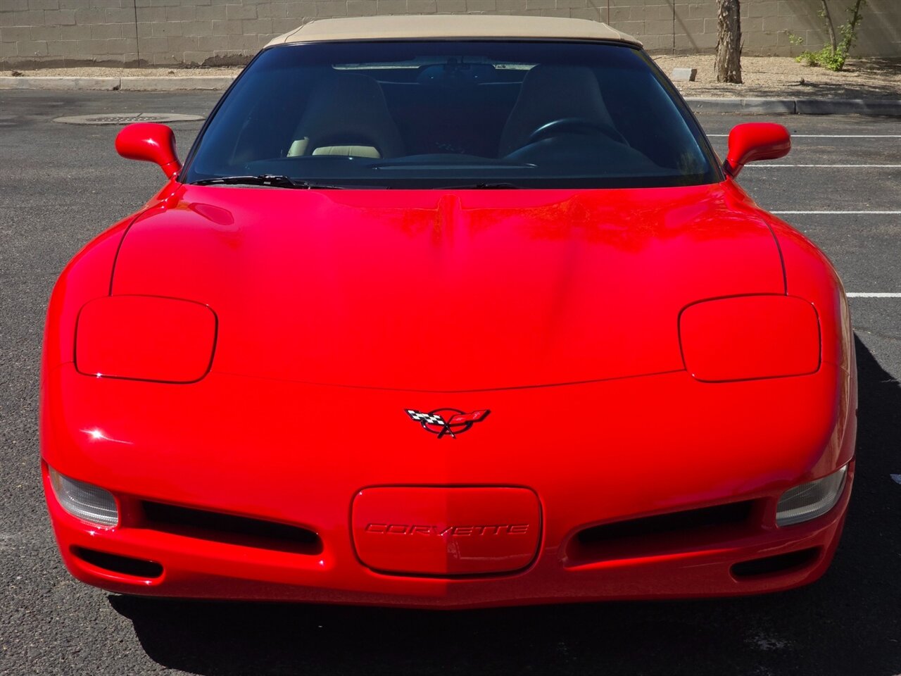 1999 Chevrolet Corvette Convertible - Photo 5 - Mesa, AZ 85215