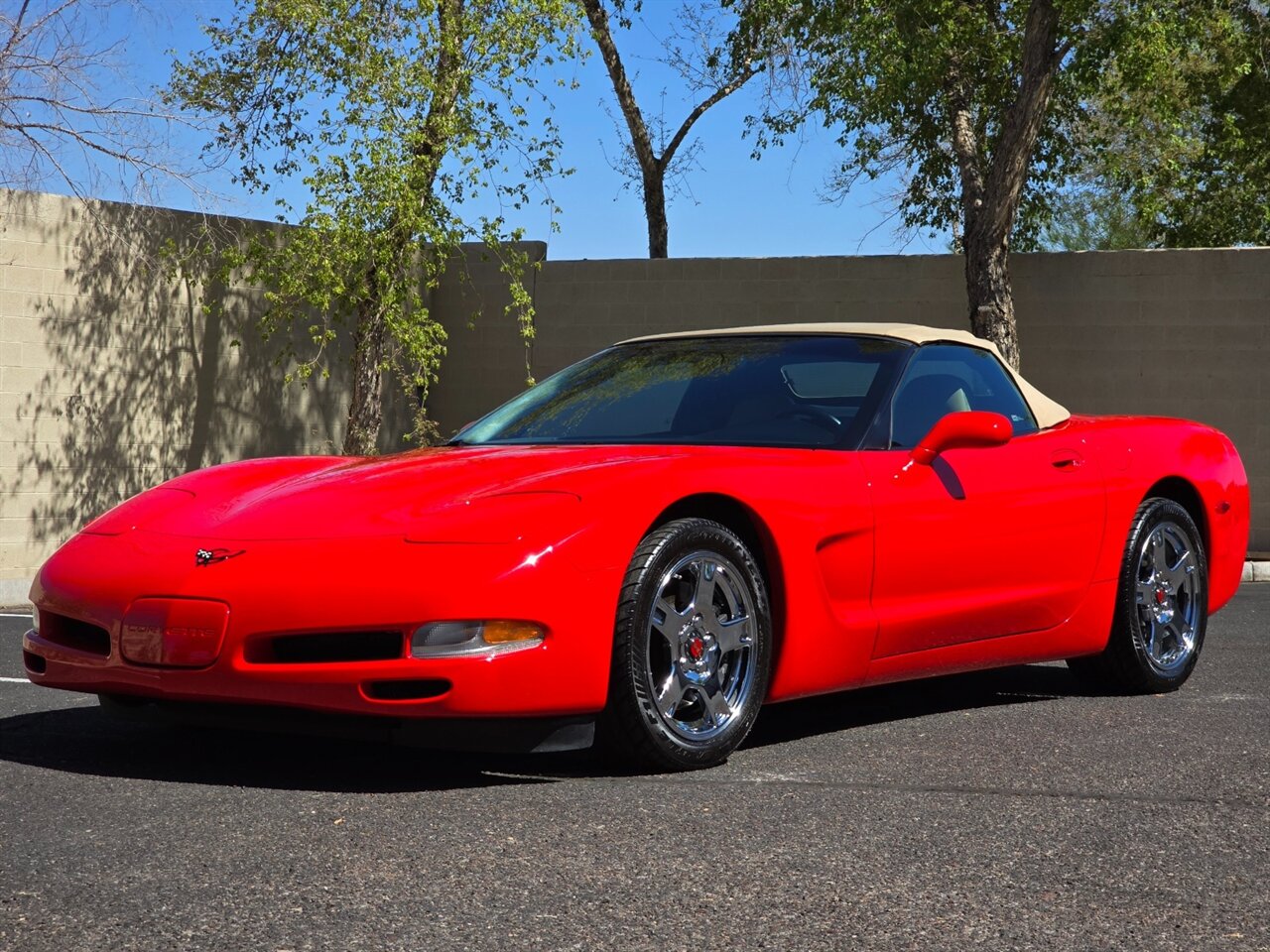 1999 Chevrolet Corvette Convertible - Photo 6 - Mesa, AZ 85215