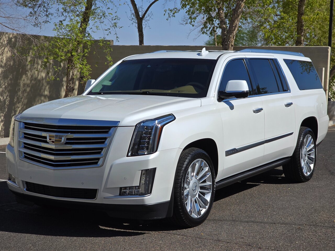 2016 Cadillac Escalade ESV Platinum - Photo 5 - Mesa, AZ 85215