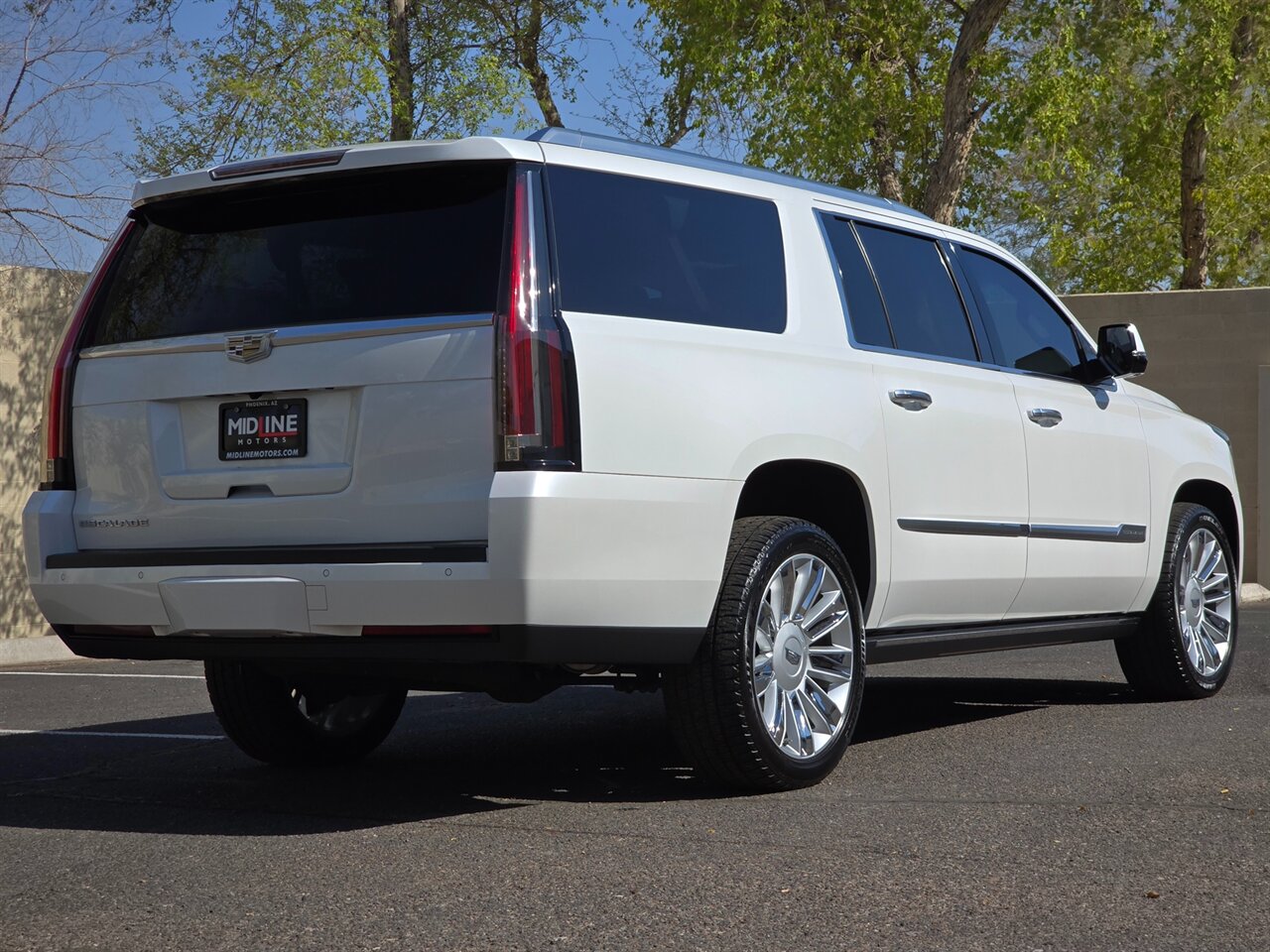 2016 Cadillac Escalade ESV Platinum - Photo 9 - Mesa, AZ 85215