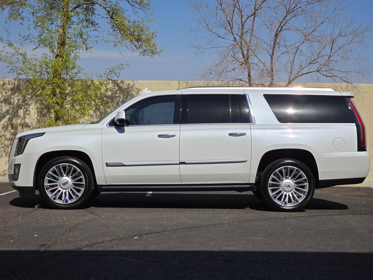 2016 Cadillac Escalade ESV Platinum - Photo 6 - Mesa, AZ 85215