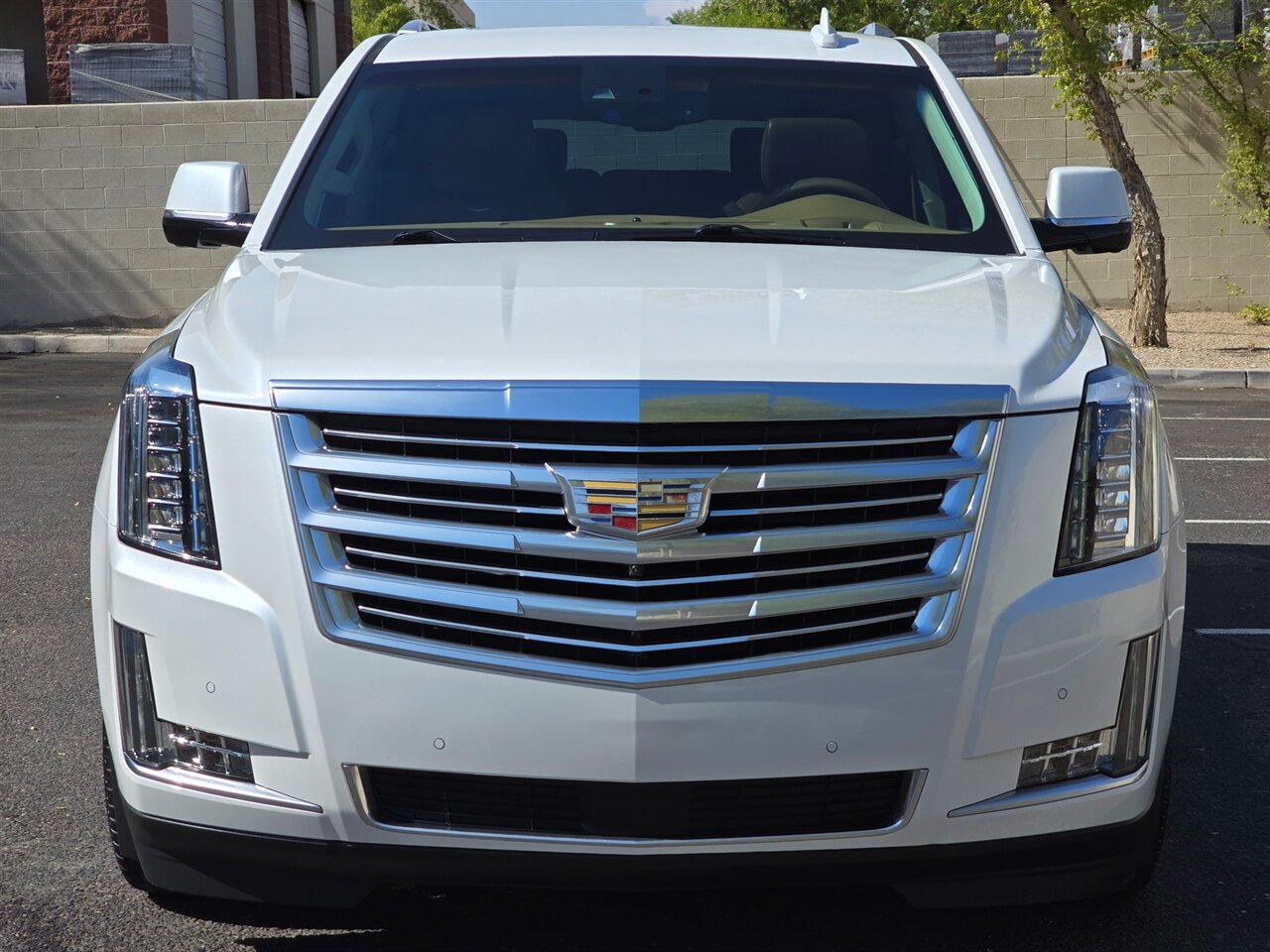 2016 Cadillac Escalade ESV Platinum - Photo 3 - Mesa, AZ 85215