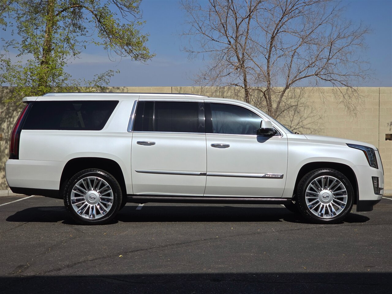 2016 Cadillac Escalade ESV Platinum - Photo 10 - Mesa, AZ 85215