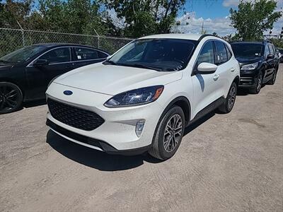 2020 Ford Escape SEL SUV