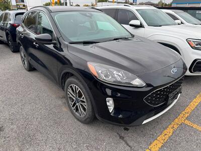 2020 Ford Escape SEL SUV