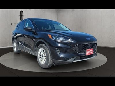 2022 Ford Escape SE SUV