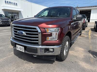 2017 Ford F-150 4X4 Truck