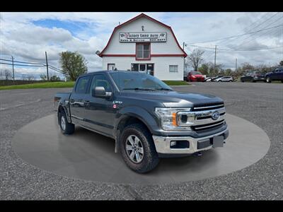 2019 Ford F-150 XL Truck