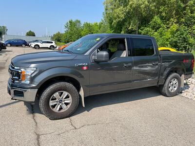 2019 Ford F-150 XL Truck