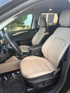 2022 Ford Escape Hybrid Titanium - Photo 29 - Albuquerque, NM 87123