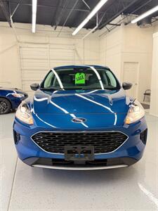 2022 Ford Escape SE - Photo 4 - Albuquerque, NM 87123