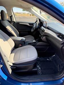 2022 Ford Escape SE - Photo 35 - Albuquerque, NM 87123