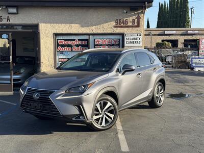 2019 Lexus NX 300h Wagon
