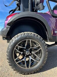 2025 Alfa Signature II Lifted Forward Facing 4 Passenger   - Photo 5 - Apache Junction, AZ 85120