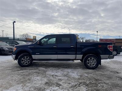 2013 Ford F-150 XLT   - Photo 6 - Saskatoon, SK S7L 1B2