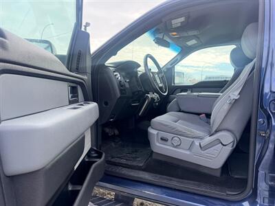 2013 Ford F-150 XLT   - Photo 10 - Saskatoon, SK S7L 1B2