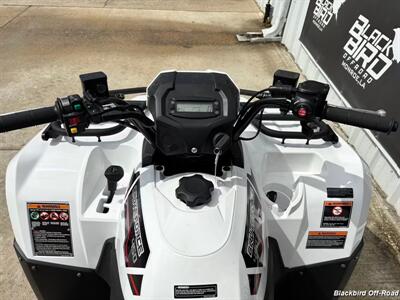 2025 Kawasaki Brute Force 450   - Photo 11 - Monroe, LA 71202