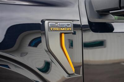 2025 Ford F-150 Tremor High Pkg Loaded   - Photo 22 - Sarasota, FL 34243