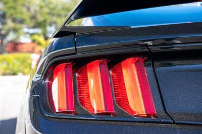 2018 Ford Mustang Shelby GT350R   - Photo 35 - Sarasota, FL 34243