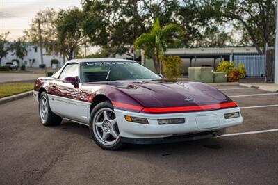 1995 Chevrolet Corvette PACE CAR   - Photo 2 - Sarasota, FL 34243