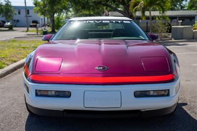 1995 Chevrolet Corvette PACE CAR   - Photo 2 - Sarasota, FL 34243