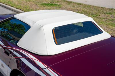 1995 Chevrolet Corvette PACE CAR   - Photo 25 - Sarasota, FL 34243