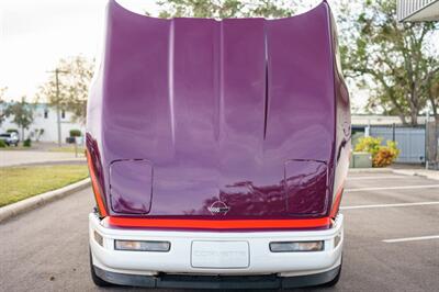 1995 Chevrolet Corvette PACE CAR   - Photo 26 - Sarasota, FL 34243