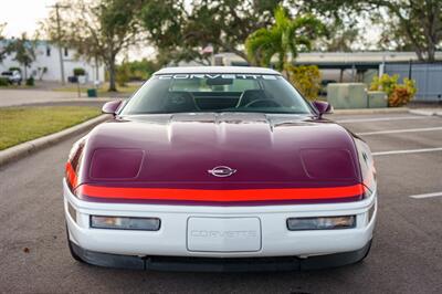 1995 Chevrolet Corvette PACE CAR   - Photo 19 - Sarasota, FL 34243