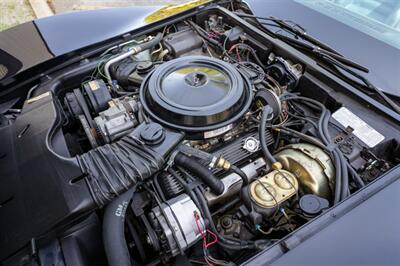 1978 Chevrolet Corvette Pace Car Edition   - Photo 54 - Sarasota, FL 34243