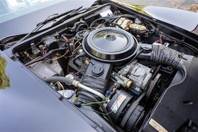 1978 Chevrolet Corvette Pace Car Edition   - Photo 55 - Sarasota, FL 34243