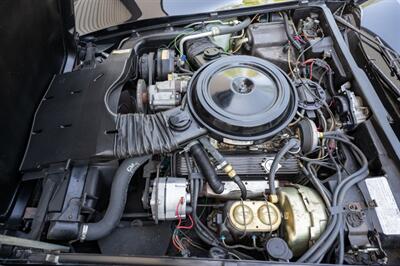 1978 Chevrolet Corvette Pace Car Edition   - Photo 53 - Sarasota, FL 34243