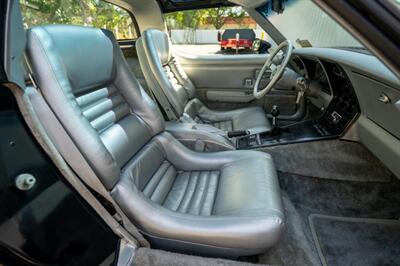 1978 Chevrolet Corvette Pace Car Edition   - Photo 42 - Sarasota, FL 34243