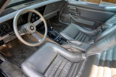 1978 Chevrolet Corvette Pace Car Edition   - Photo 39 - Sarasota, FL 34243